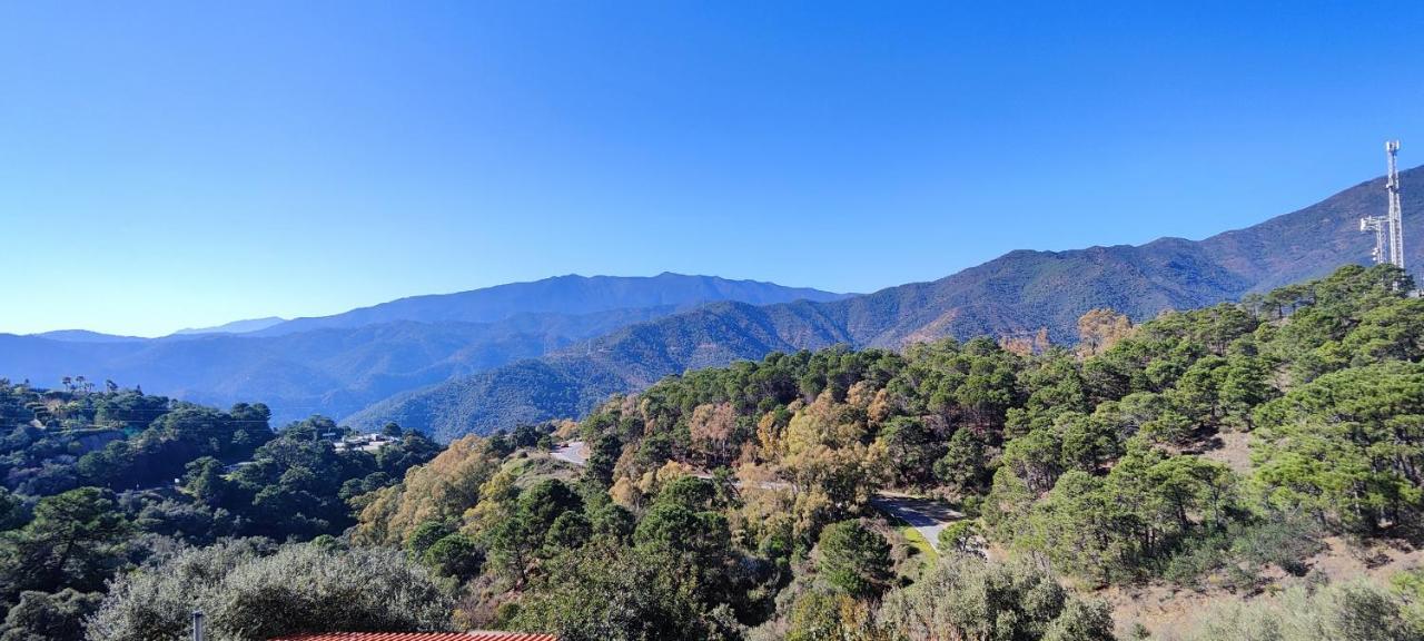 Gorgeous 3 Bedrooms In Villa Natural Reserve Park! Εστεπόνα Εξωτερικό φωτογραφία